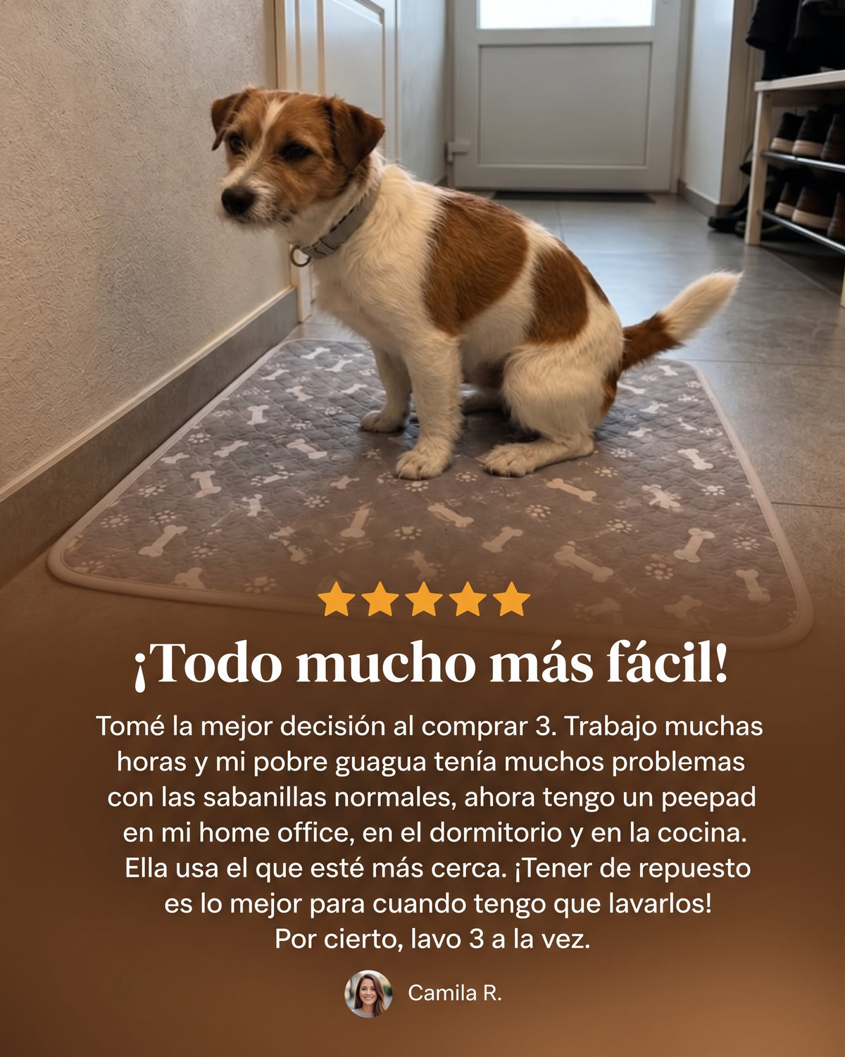 PEEPAD | Sabanilla Lavable para Perros